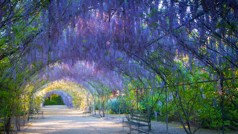 Adelaide, Australia