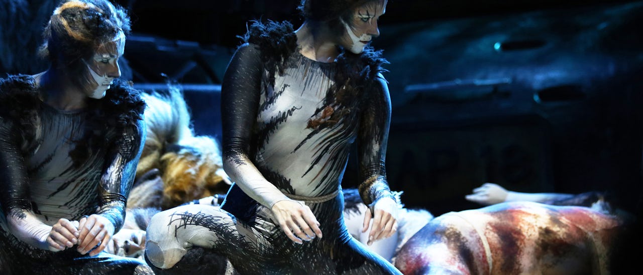 Enjoy a 90 minute long, no expense spared performance of Cats