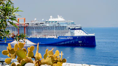 Celebrity Apex, Caribbean