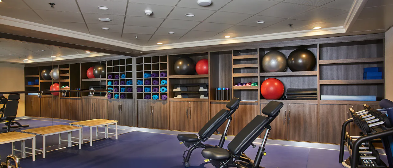 The gym