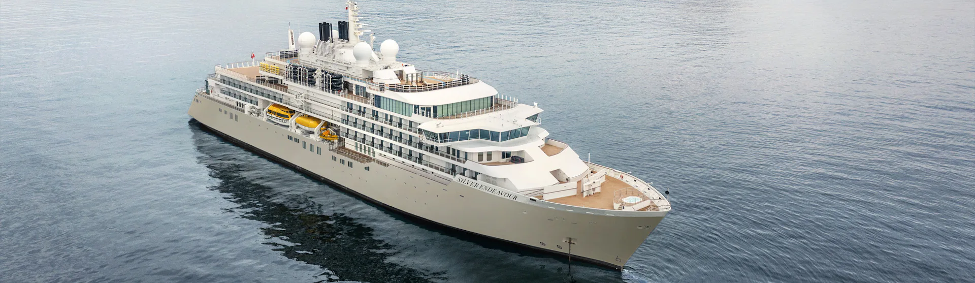 Silver Endeavour