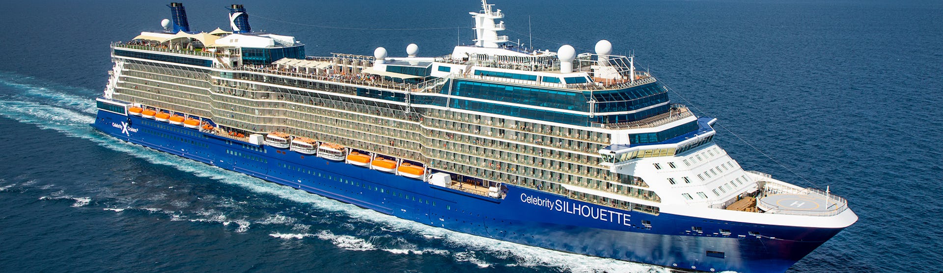 Celebrity Silhouette